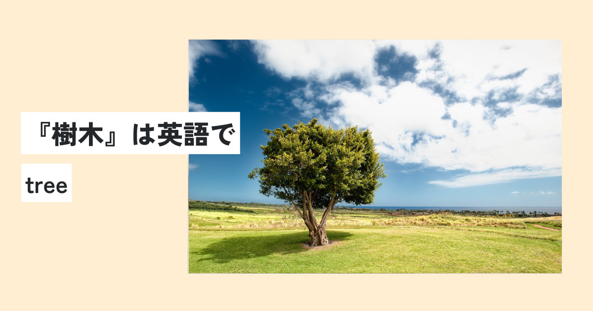 樹木の意味とは？木との違いをわかりやすく解説！正しい使い方・例文まとめ！ 意味lab