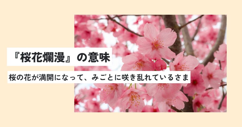 桜