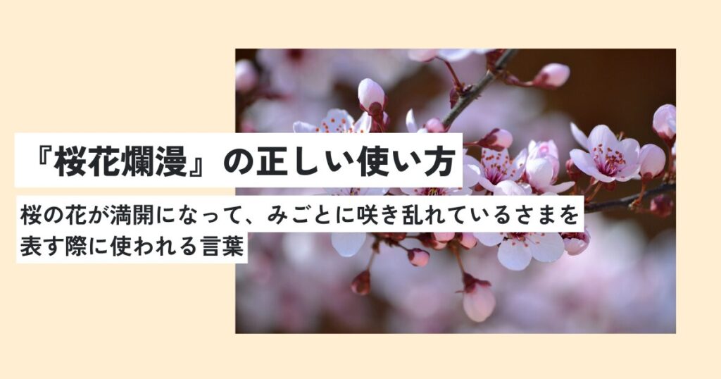 桜