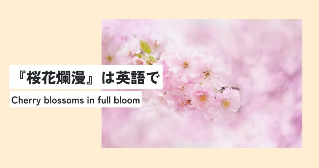 桜