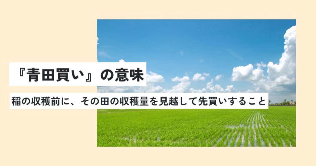 田んぼ