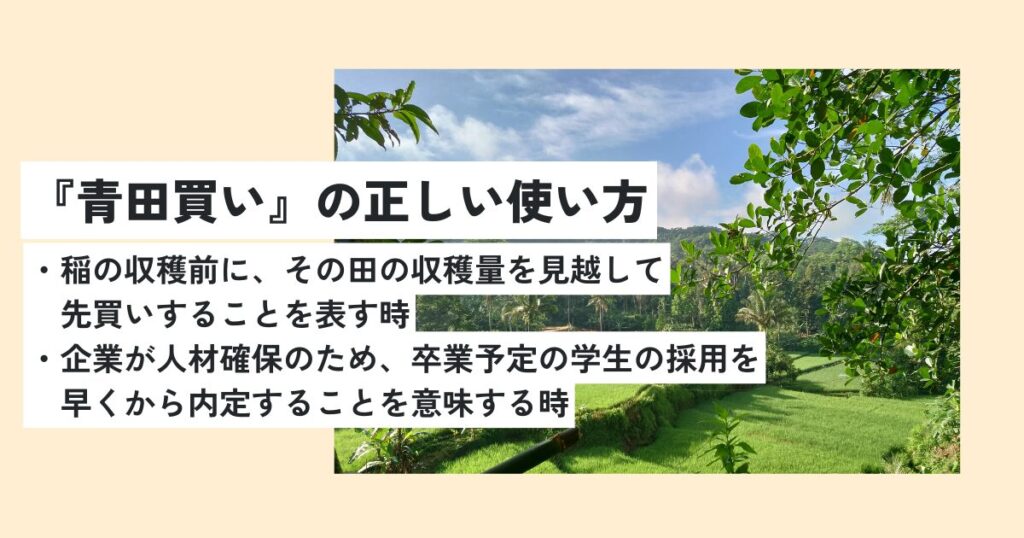 田んぼ