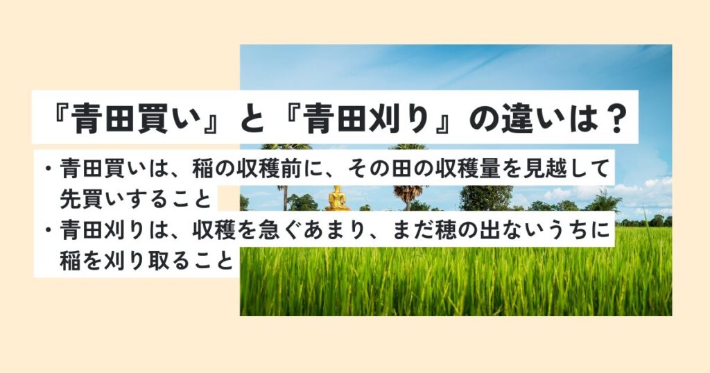 田んぼ