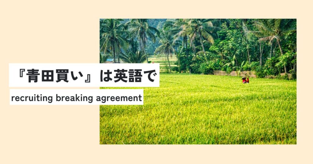 田んぼ