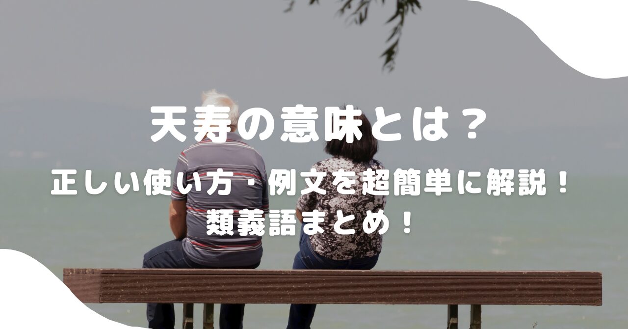 ベンチ