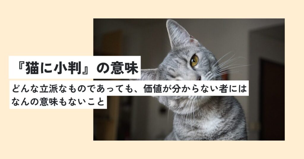 猫