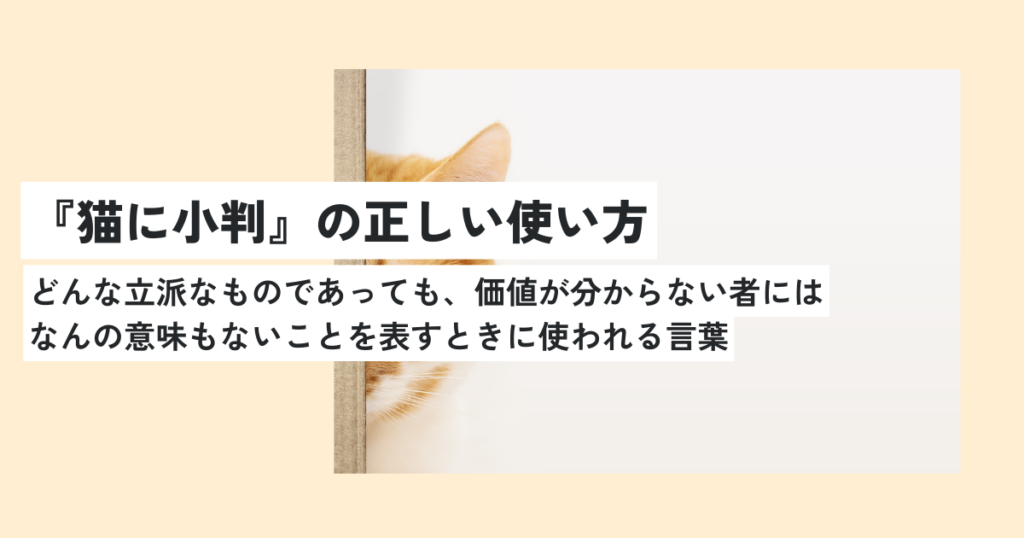 猫