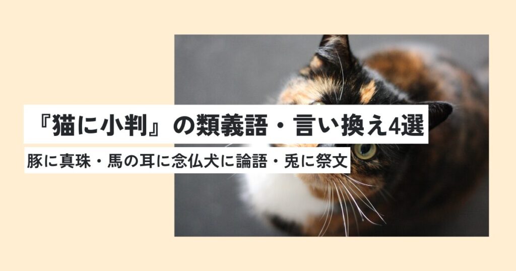 猫