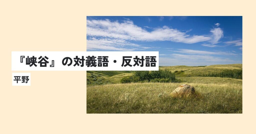 景色