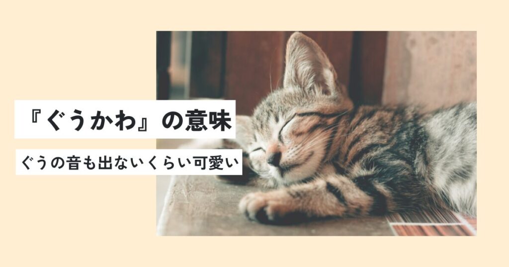 猫