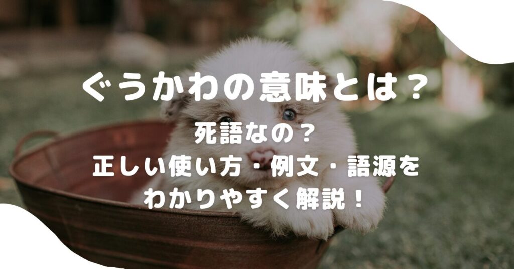 犬