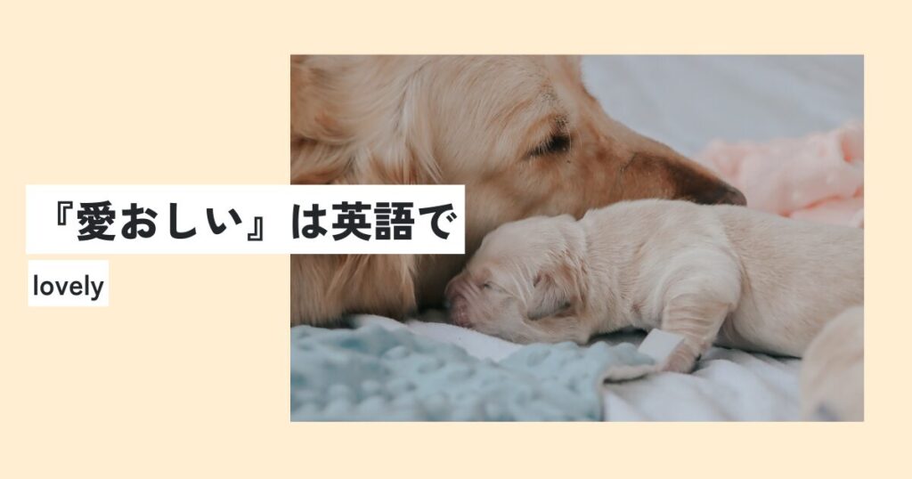 犬