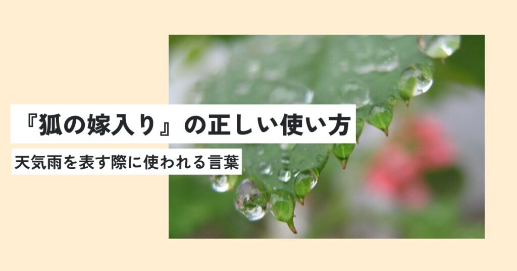 雨