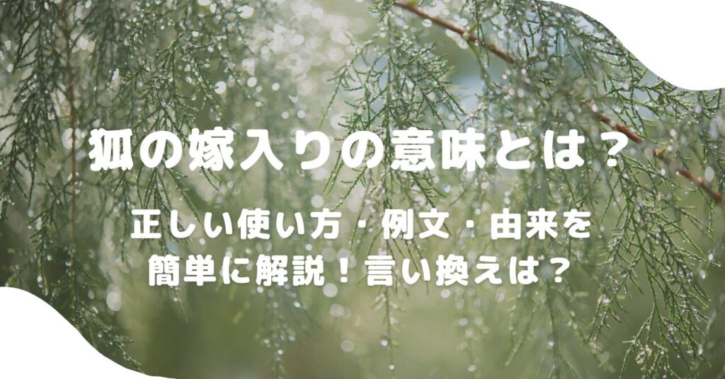 雨