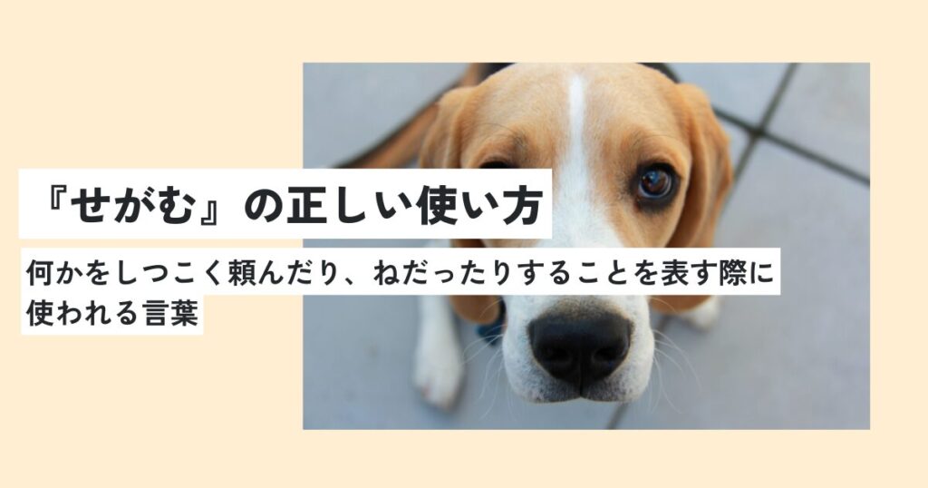 犬