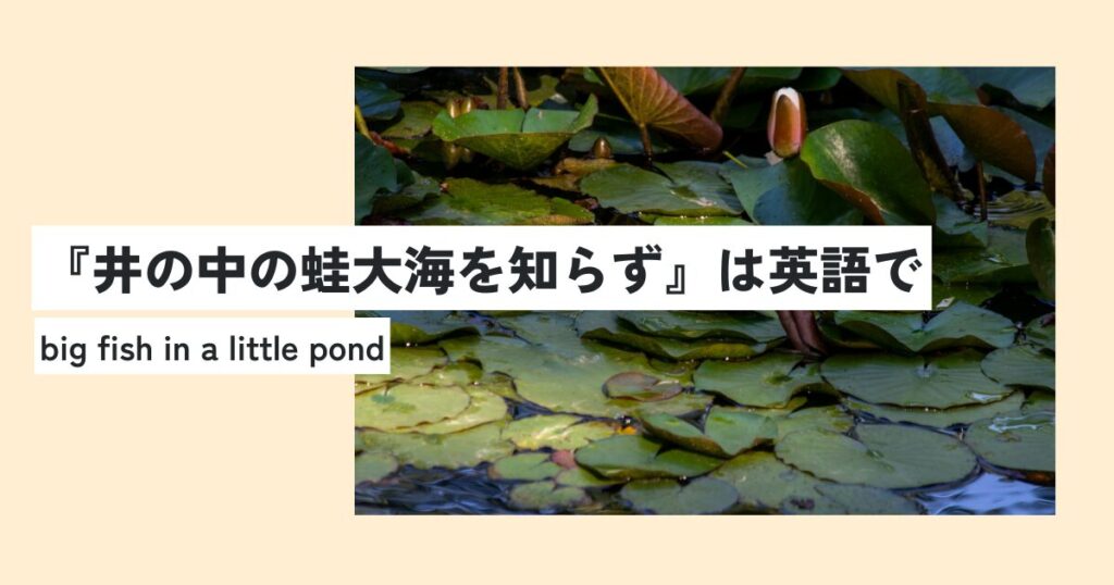 かえる