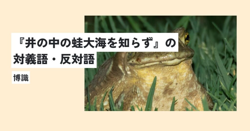かえる