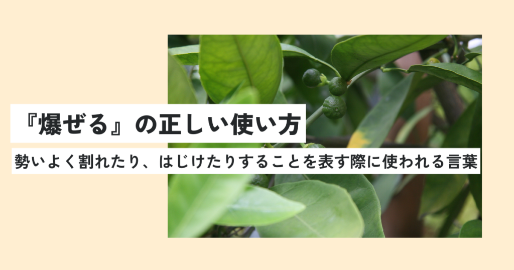 植物