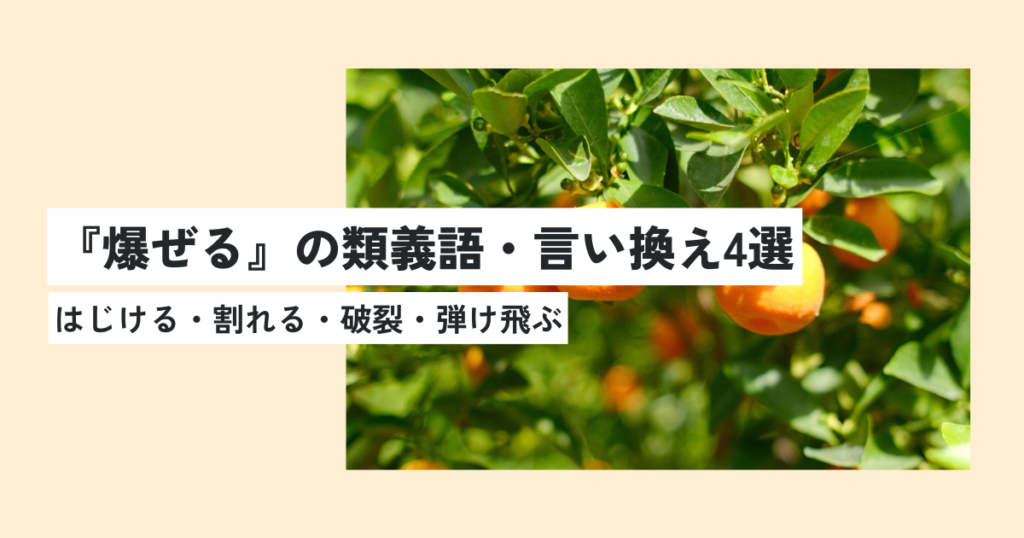 植物
