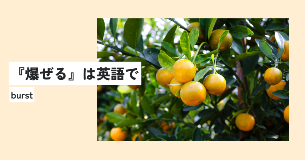 植物