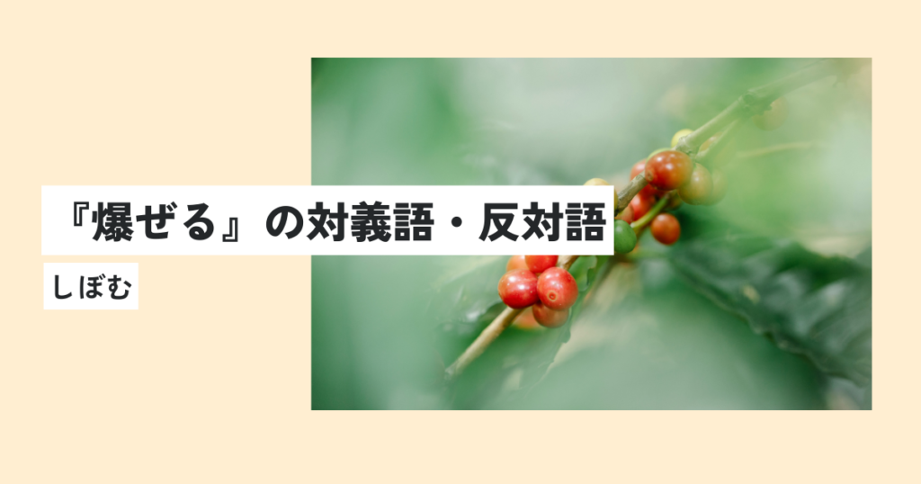 植物